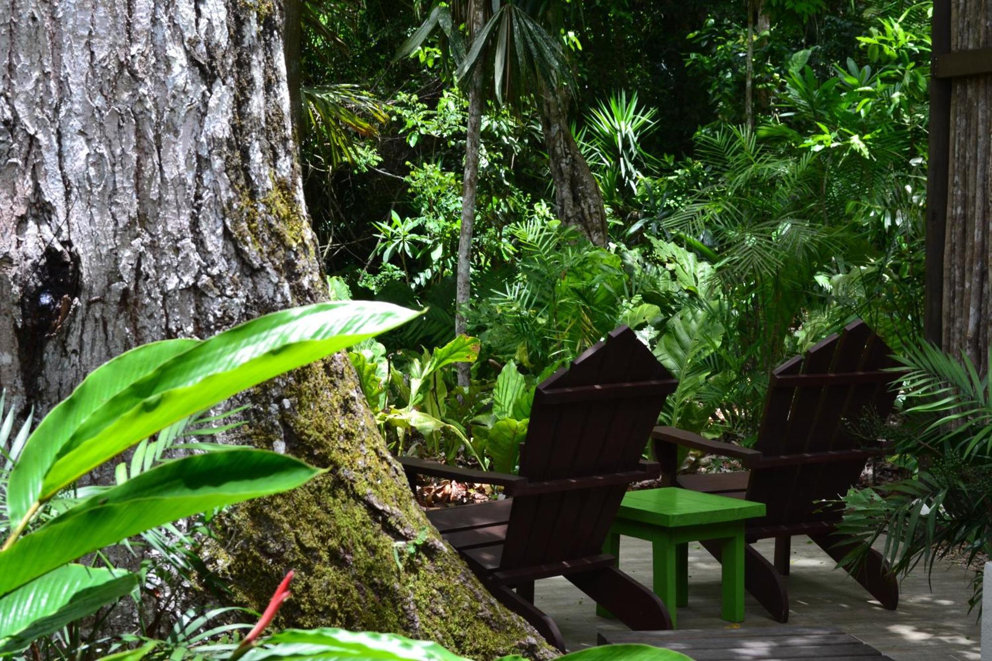 Hotel Jungle Lodge Τικάλ Δωμάτιο φωτογραφία