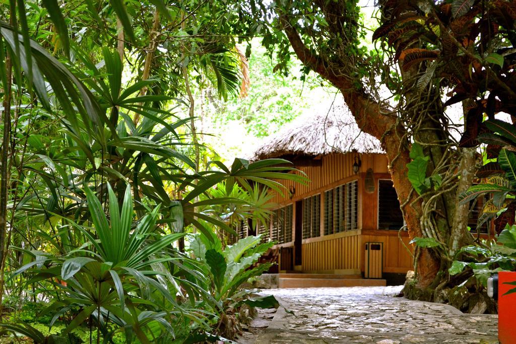 Hotel Jungle Lodge Τικάλ Εξωτερικό φωτογραφία