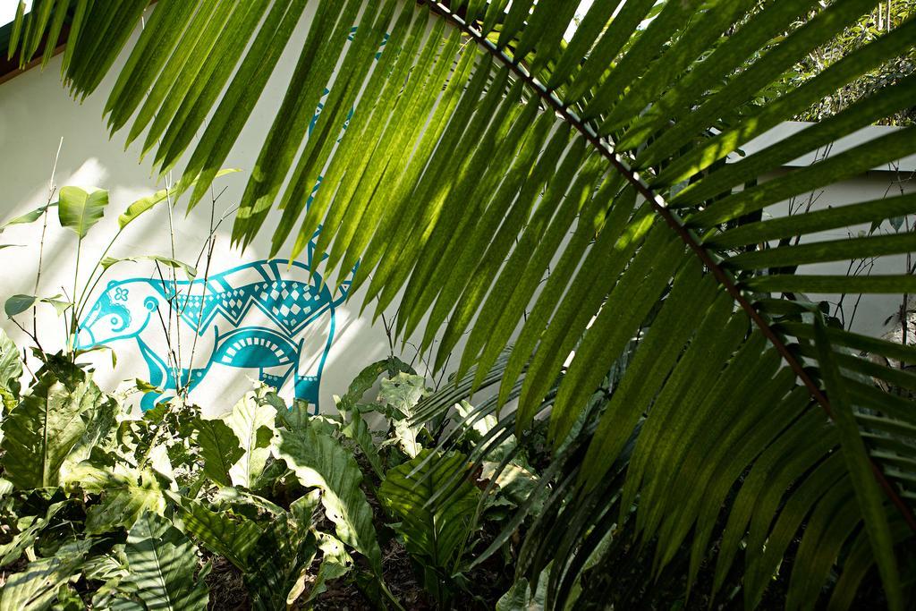 Hotel Jungle Lodge Τικάλ Εξωτερικό φωτογραφία