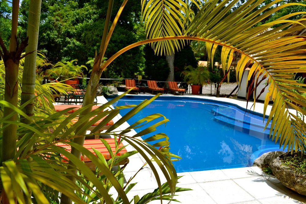 Hotel Jungle Lodge Τικάλ Εξωτερικό φωτογραφία