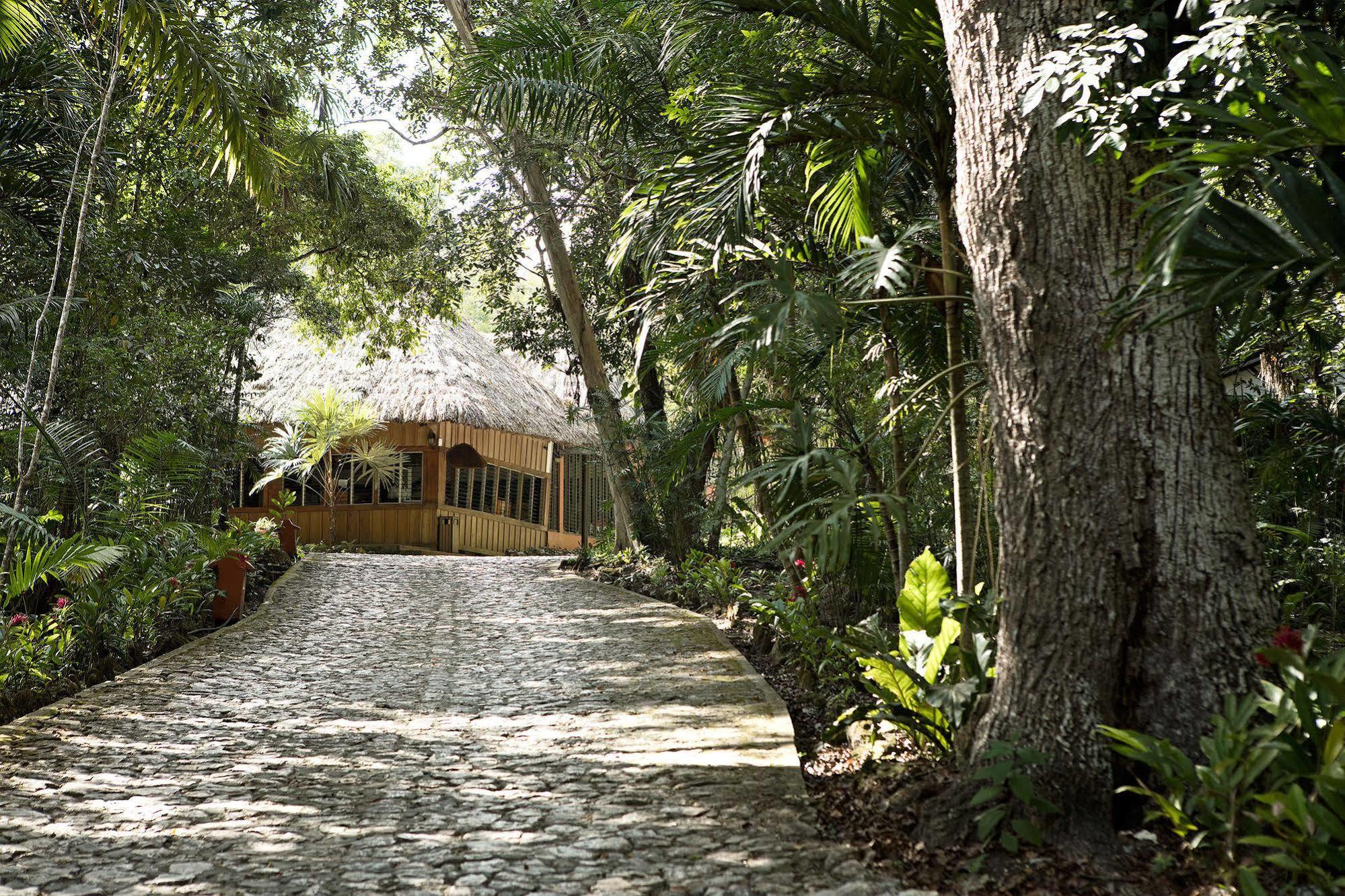 Hotel Jungle Lodge Τικάλ Εξωτερικό φωτογραφία